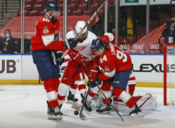 Florida Detroit NHL
