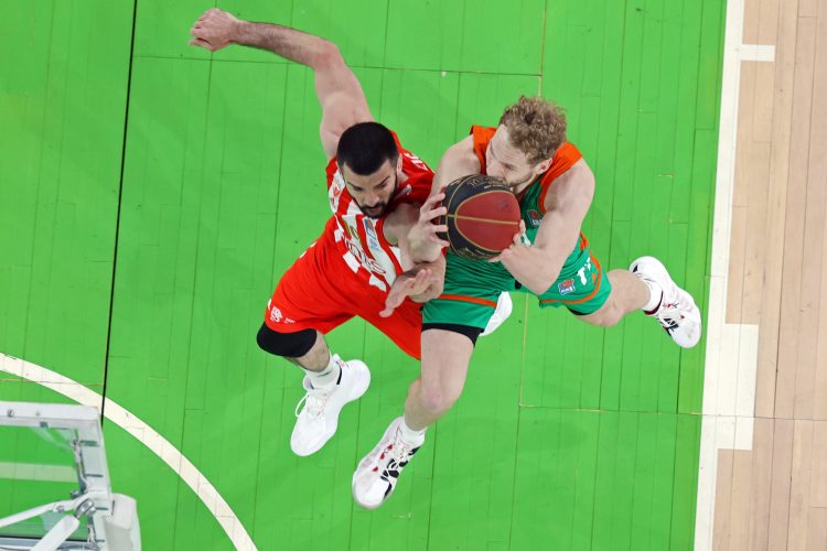 Cedevita Olimpija proti Crveni Zvezdi