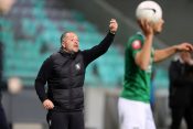Olimpija, Goran Stanković