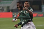 palmeiras