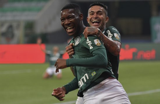 palmeiras
