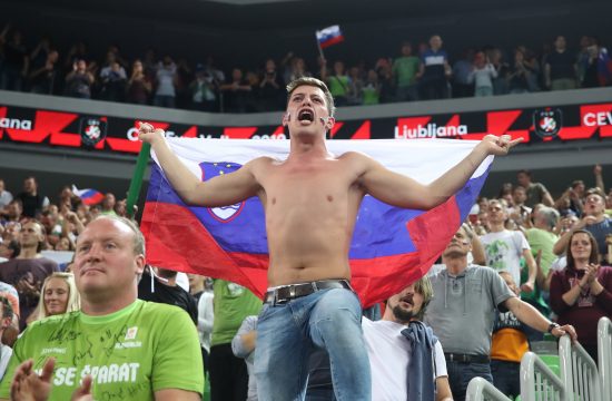 Slovenski navijači