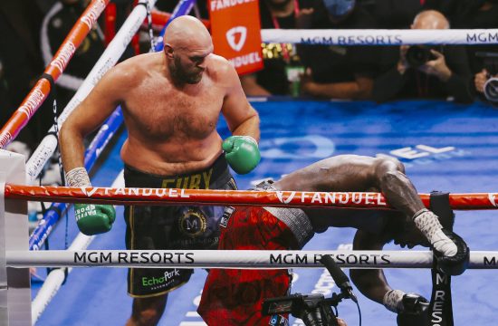 Fury Wilder