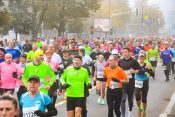 Ljubljanski maraton.