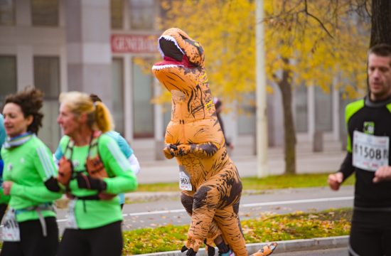 Ljubljanski maraton.