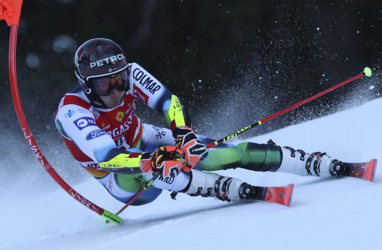 alpski smučar