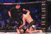 Gegard Mousasi