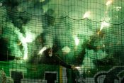 Green Dragons