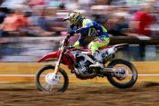 Tim Gajser