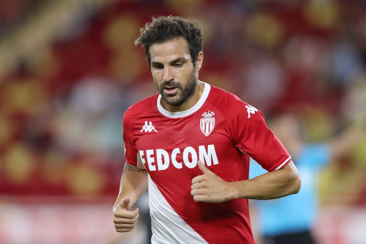 Cesc Fabregas