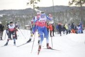 Hana Mazi Jamnik