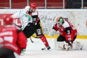 Jesenice