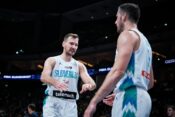 zoran dragic, goran dragic