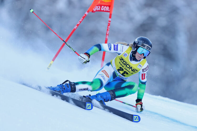 Zlata lisica