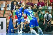 rokometna reprezentanca slovenije