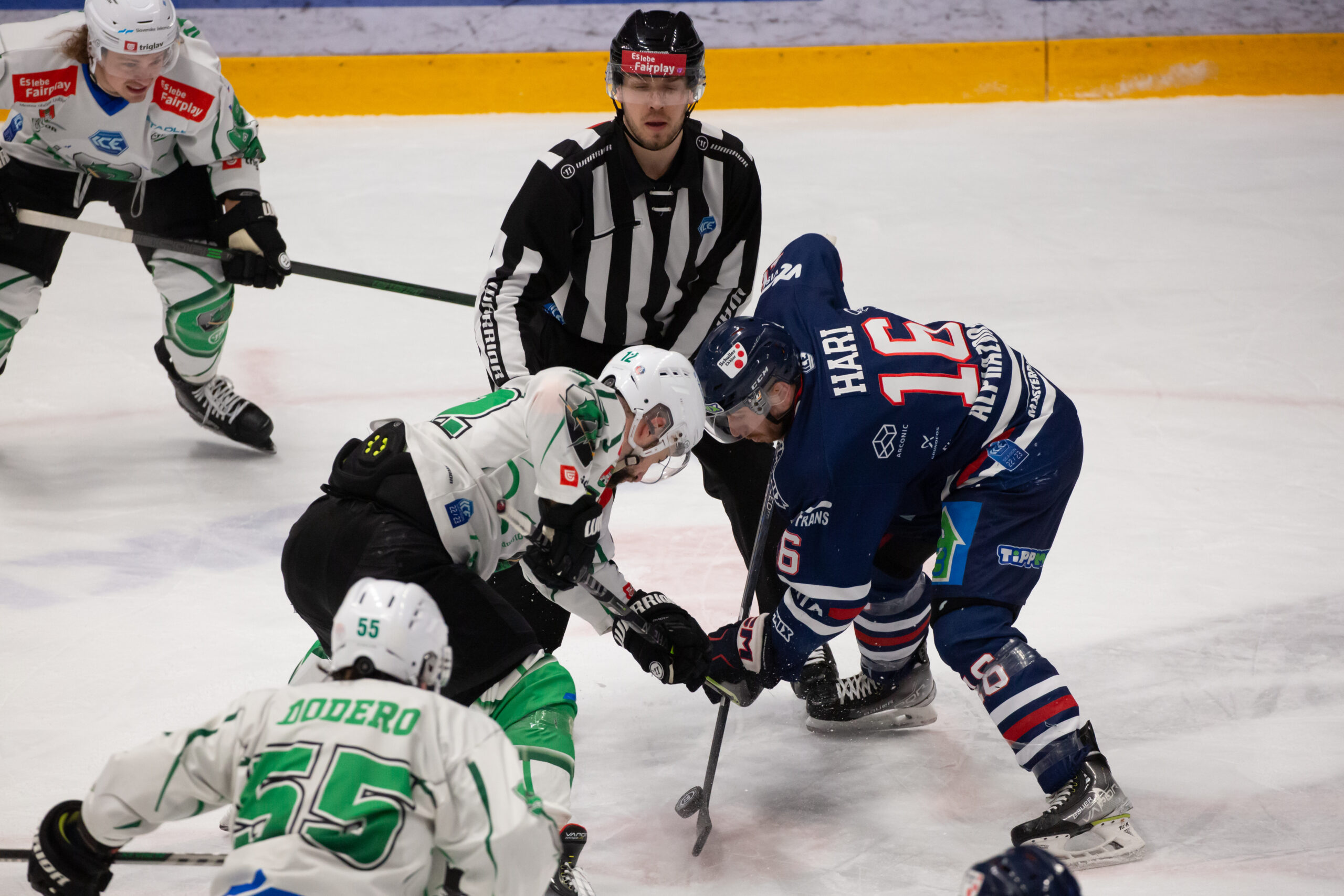 Fehervar HK SŽ Olimpija