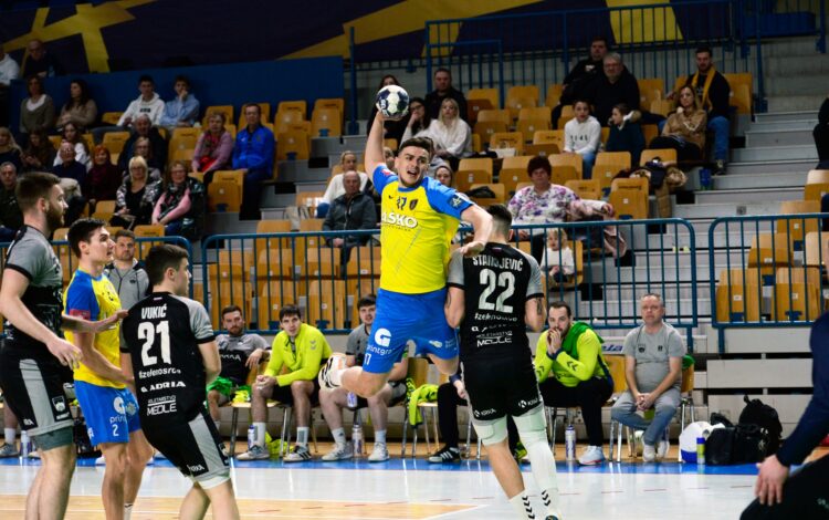 Celje Pivovarna Laško