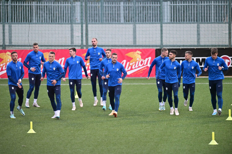 slovenska nogometna reprezentanca