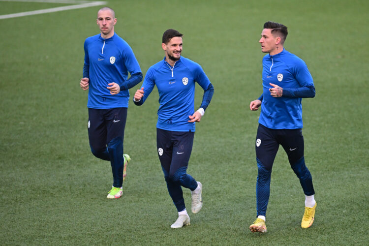 slovenska nogometna reprezentanca