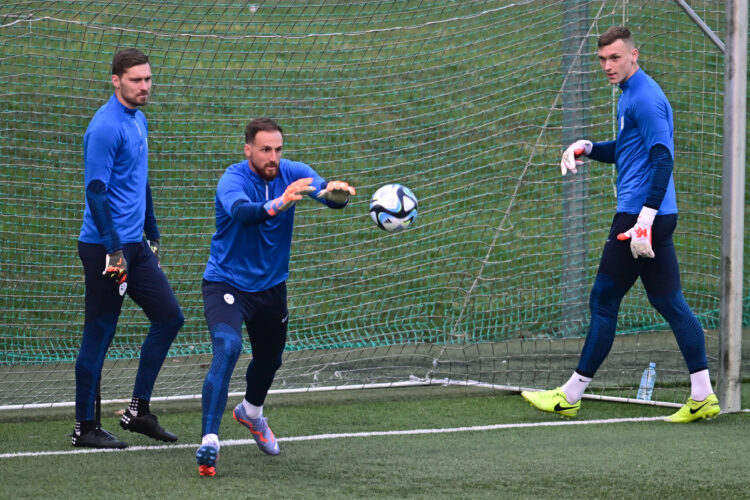 slovenska nogometna reprezentanca