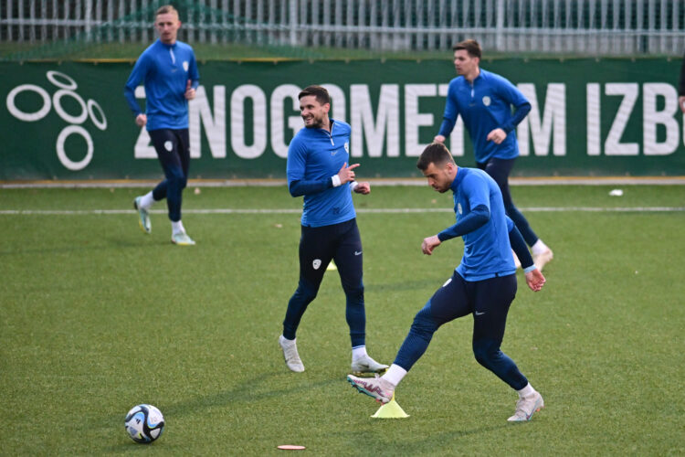 slovenska nogometna reprezentanca