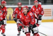 Sij Acroni jesenice
