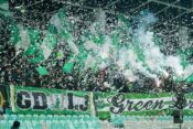 Stožice Green Dragons