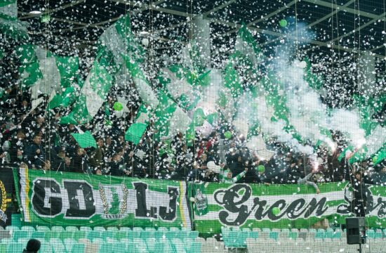 Stožice Green Dragons
