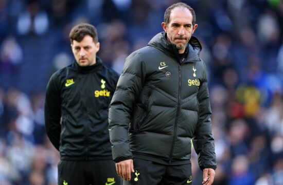 Ryan Mason and Cristian Stellini file photo