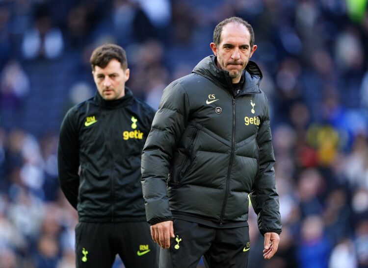 Ryan Mason and Cristian Stellini file photo
