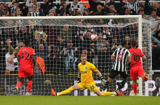 Newcastle United v Brighton and Hove Albion - Premier League - St. James' Park