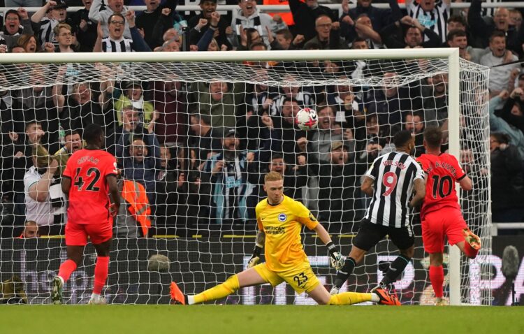 Newcastle United v Brighton and Hove Albion - Premier League - St. James' Park