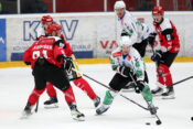 Olimpija Jesenice