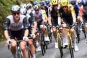 Pogačar Vingegaard Jumbo Visma UAE Emirates