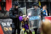 Viole policija