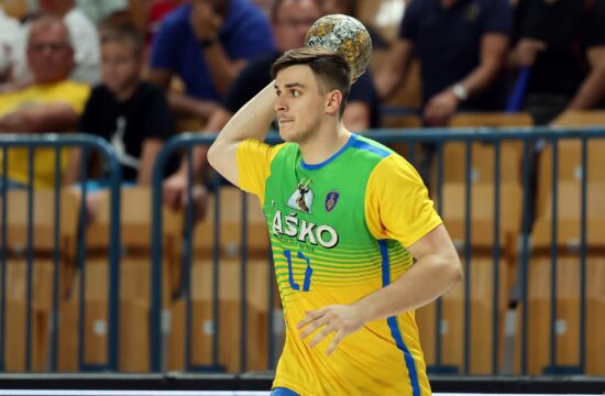 Celje Pivovarna Laško