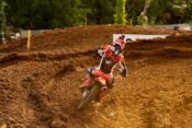 Tim Gajser