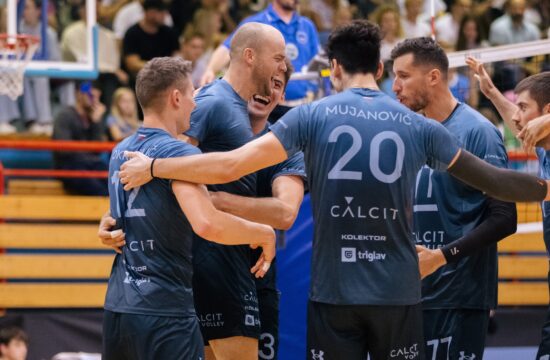 Calcit Volley