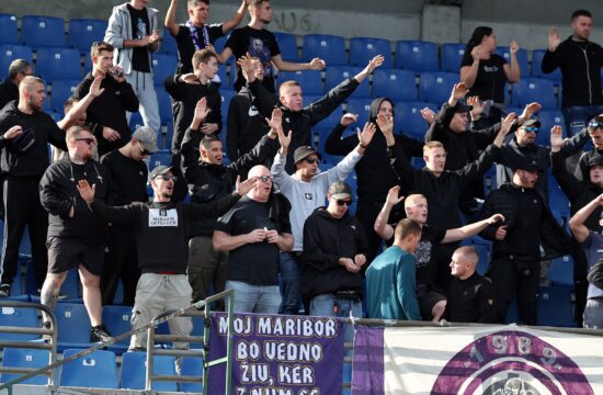 NK Maribor Viole