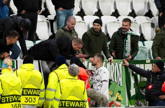 Timi Max Elšnik, Green Dragons