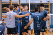 Calcit Volley