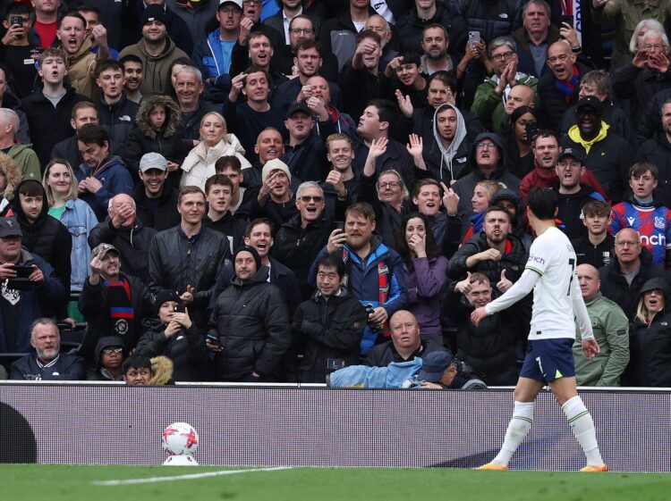 Tottenham Hotspur v Crystal Palace - Premier League - Tottenham Hotspur Stadium