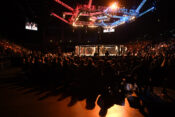 UFC kletka oktagon