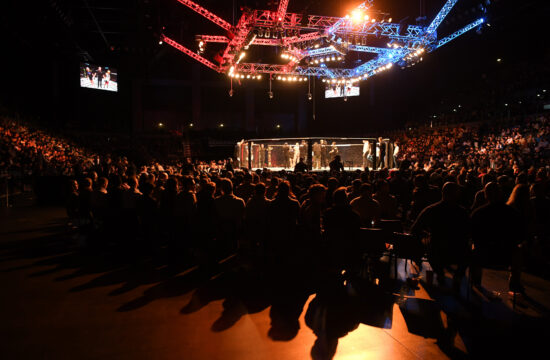 UFC kletka oktagon