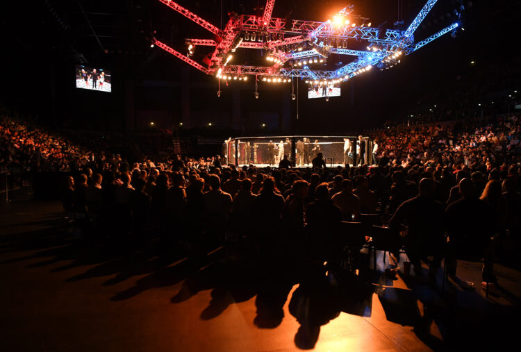 UFC kletka oktagon