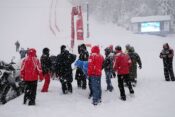Sneg, zlata lisica, kranjska gora