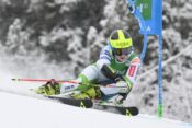 Neja Dvornik