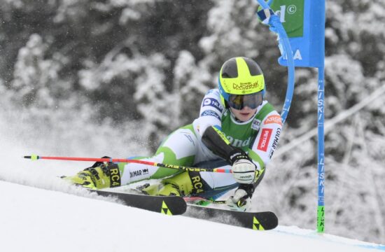 Neja Dvornik