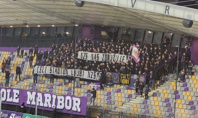 Viole Maribor
