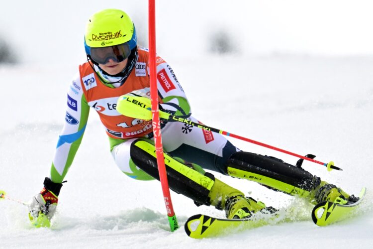 Neja Dvornik